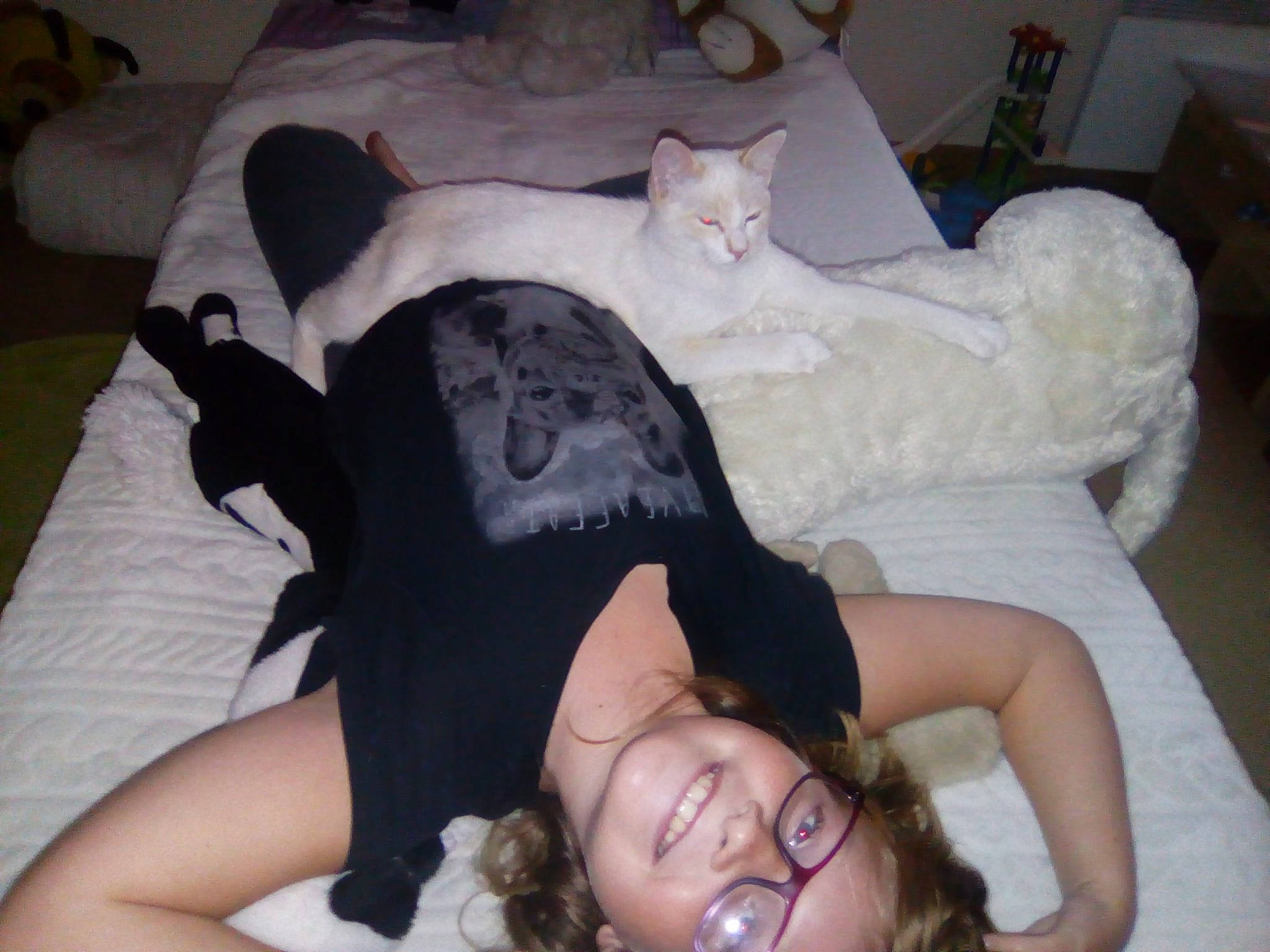 Twix participe au concours pour gagner de l'argent avec cette photo : carnivore, cat, comfort, fawn, felidae, lap, leg, nap, sleep, small_to_medium_sized_cats