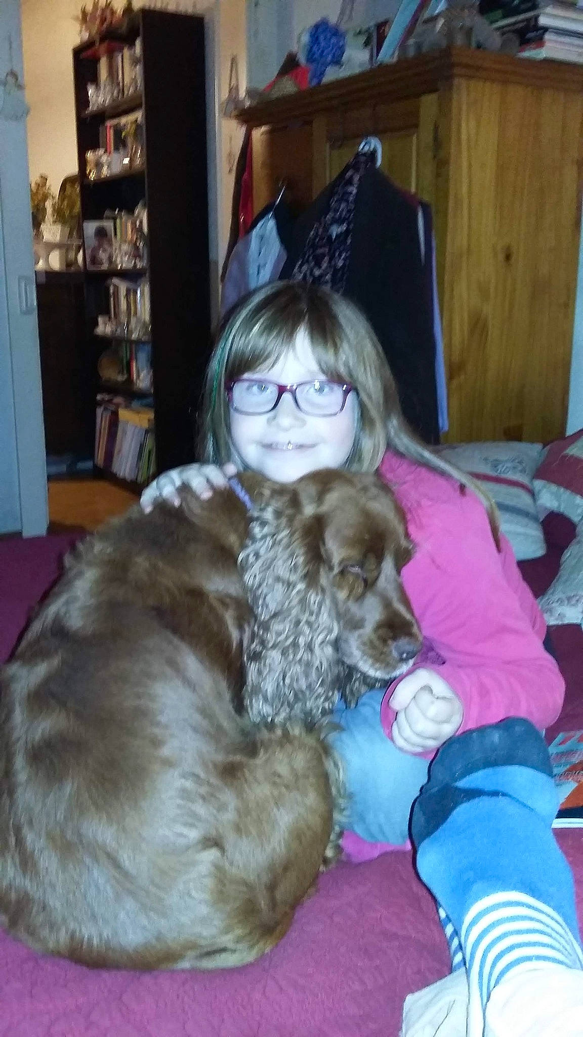 Canel a rejoint le concours — aidez-le/la à gagner de superbes lots ! american_cocker_spaniel, canidae, carnivore, cat, cocker_spaniel, companion_dog, dog, dog_breed, ear, english_cocker_spaniel, felidae, fur, glasses, spaniel, sporting_group