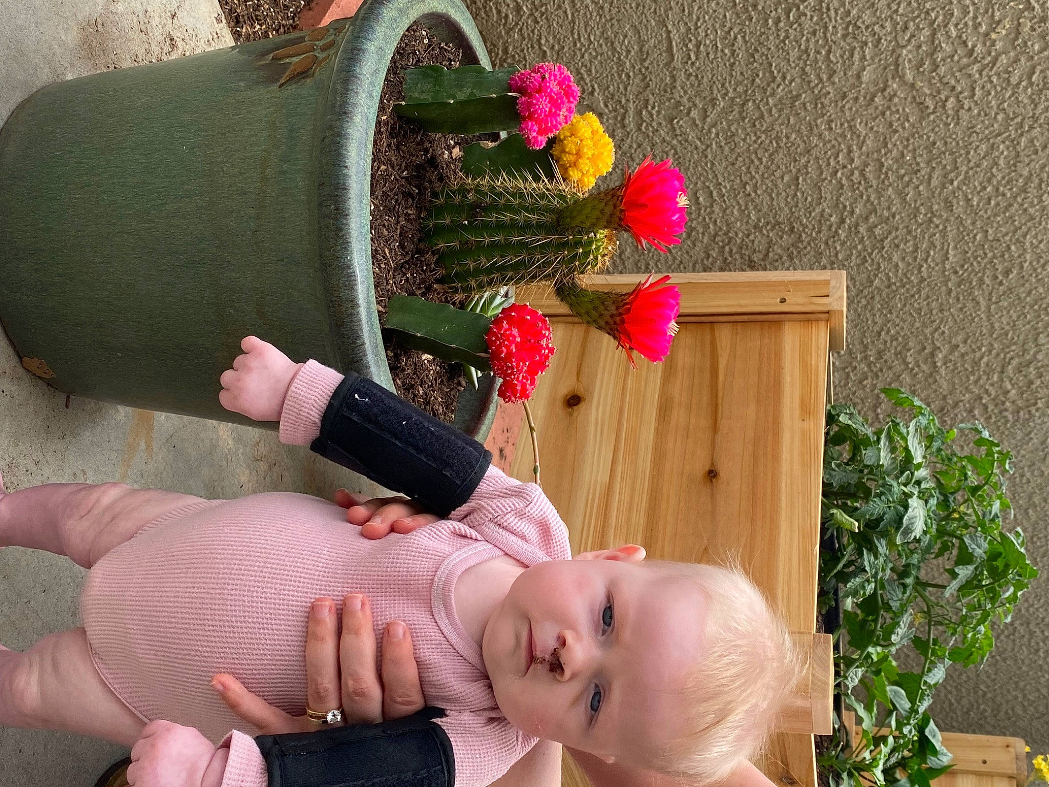 Lennon is registered to the contest to win money with this photo: arm, artificial_flower, baby, baby_toddler_clothing, finger, flower, flower_arranging, fun, grass, green, hand, happy, person, petal, pink, plant, red, rose, toddler, wrist