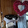 animal, black_and_white_cat, cat, cat_tree, cozy, curtains, feline, heart_decoration, home, indoor, lounging, pet, pink, plush_bed, portrait, resting, scratching_post, valentines_day, window, wood_paneling