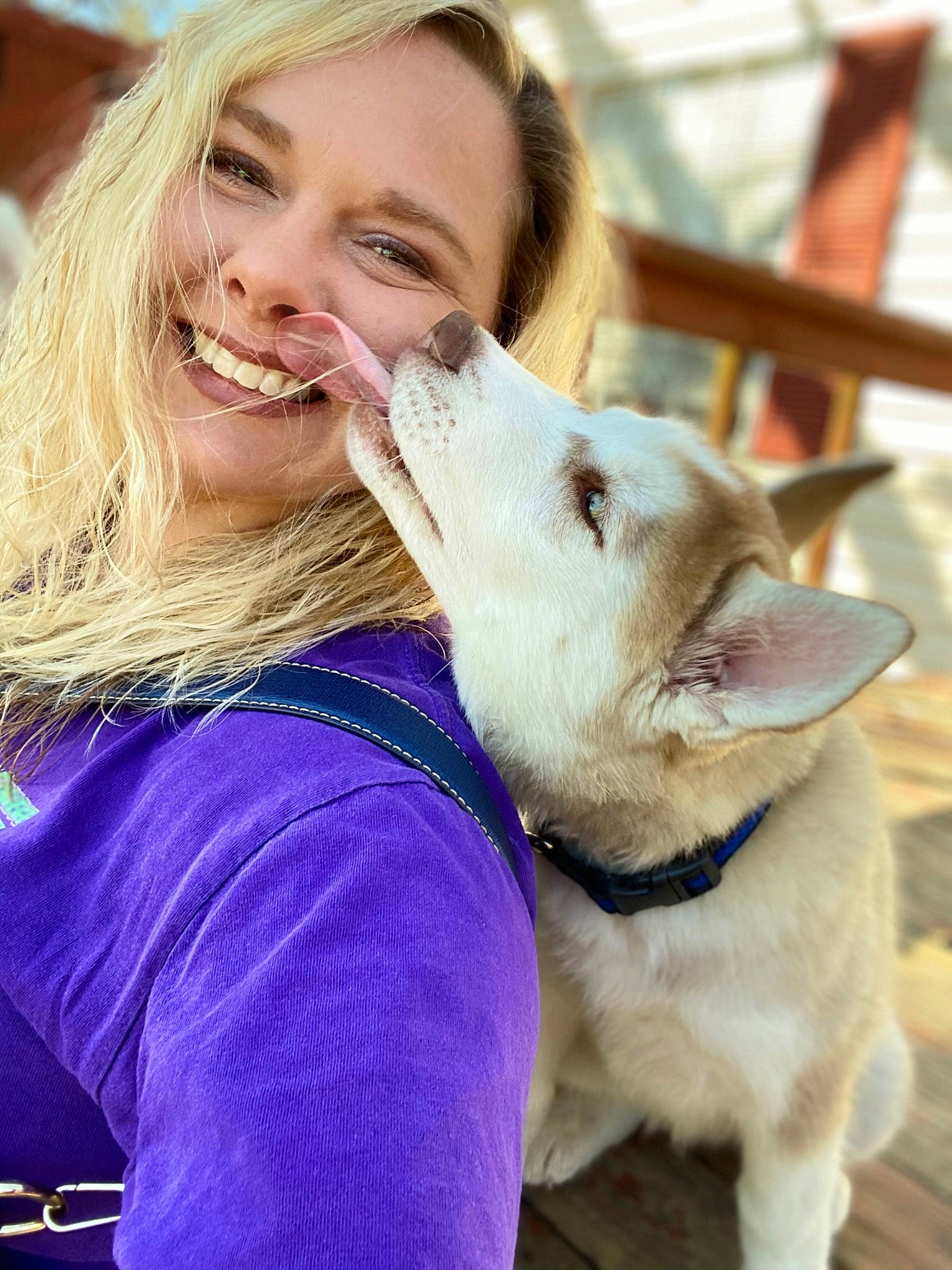 Sasha is registered to the contest to win money with this photo: carnivore, collar, companion_dog, dog, dog_breed, dog_collar, ear, event, fawn, felidae, fun, fur, gesture, happy, leash, skin, small_to_medium_sized_cats, smile, snout, whiskers