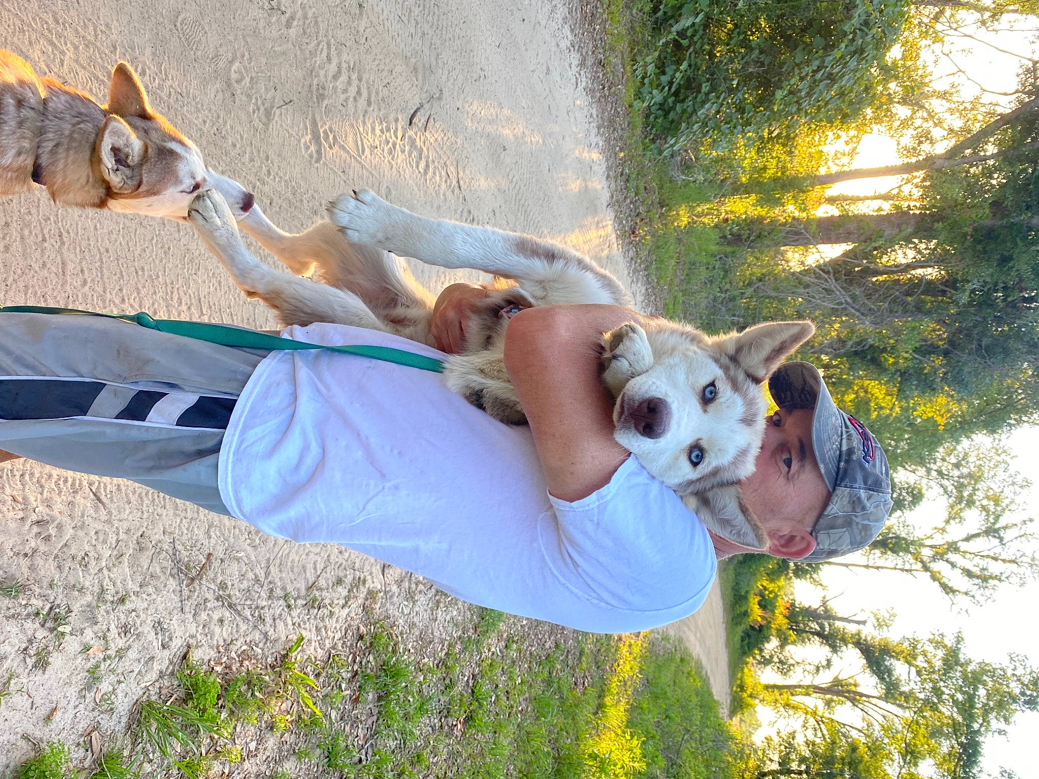 Sasha joined the competition — help win amazing prizes! adventure, canidae, carnivore, companion_dog, dog, dog_breed, eyewear, fawn, fun, grass, happy, hat, leisure, people_in_nature, plant, recreation, sporting_group, t_shirt, tree, working_animal