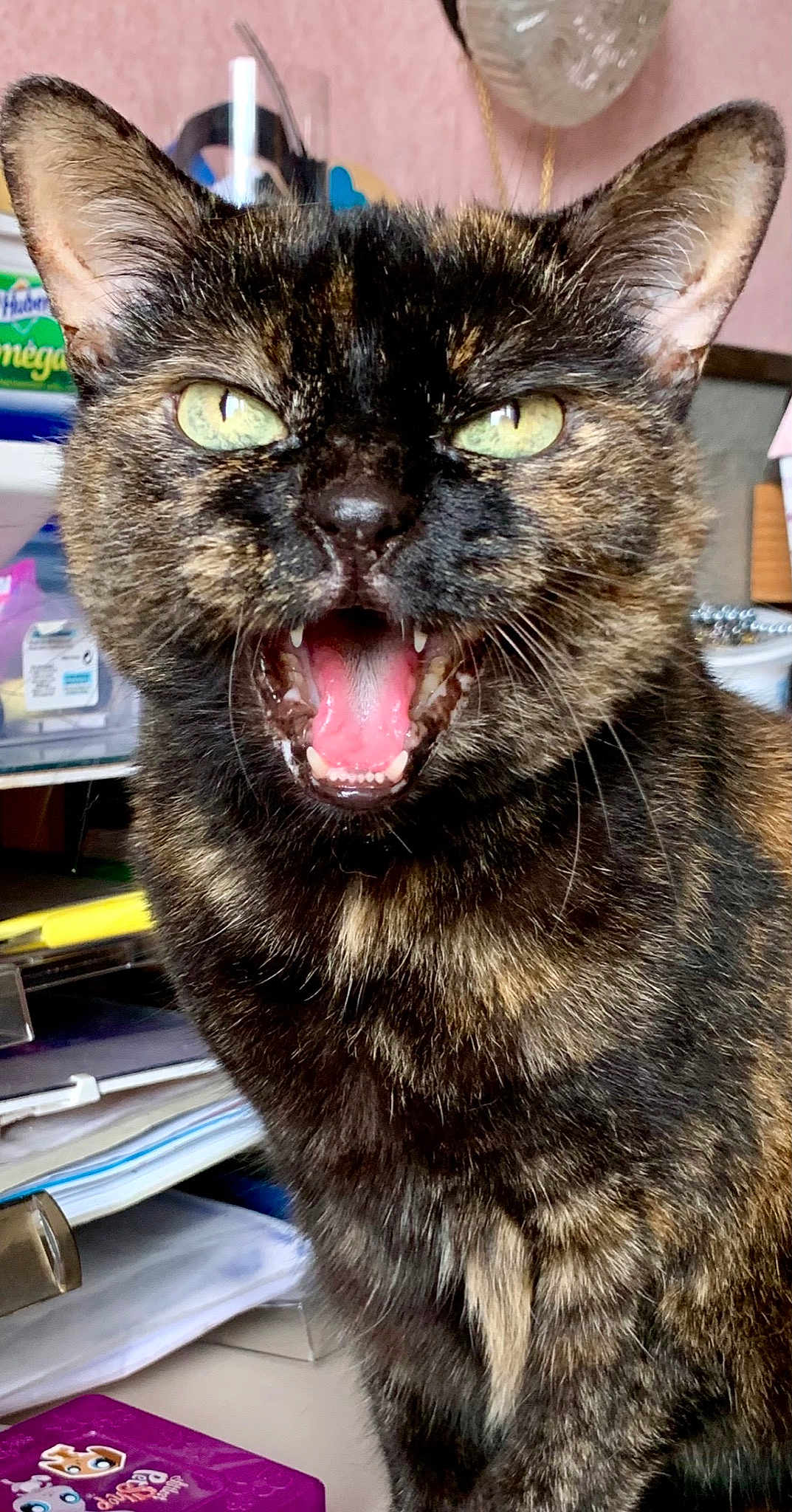 Câline