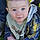 Carter
