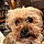Benson