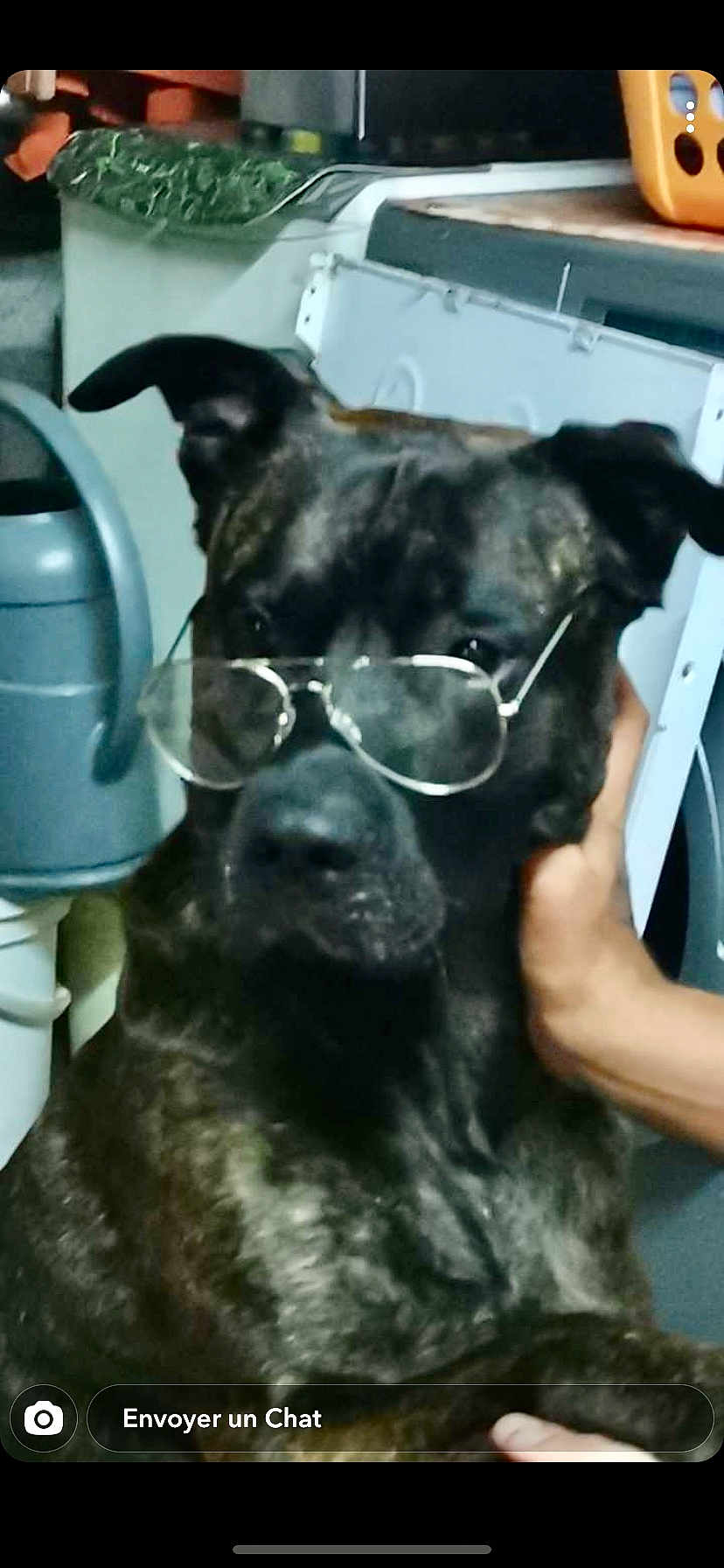 Murphy
