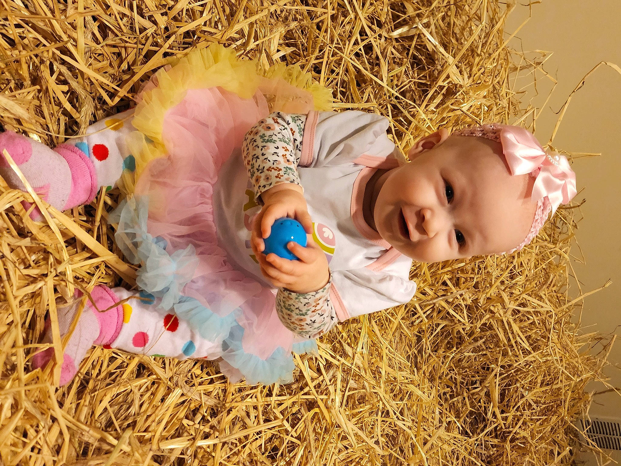 Baileigh joined the competition — help win amazing prizes! baby, baby_toddler_clothing, child, fun, grass, grassland, happy, hat, hay, natural_material, people, people_in_nature, person, play, portrait_photography, prairie, soil, straw, toddler, vertebrate