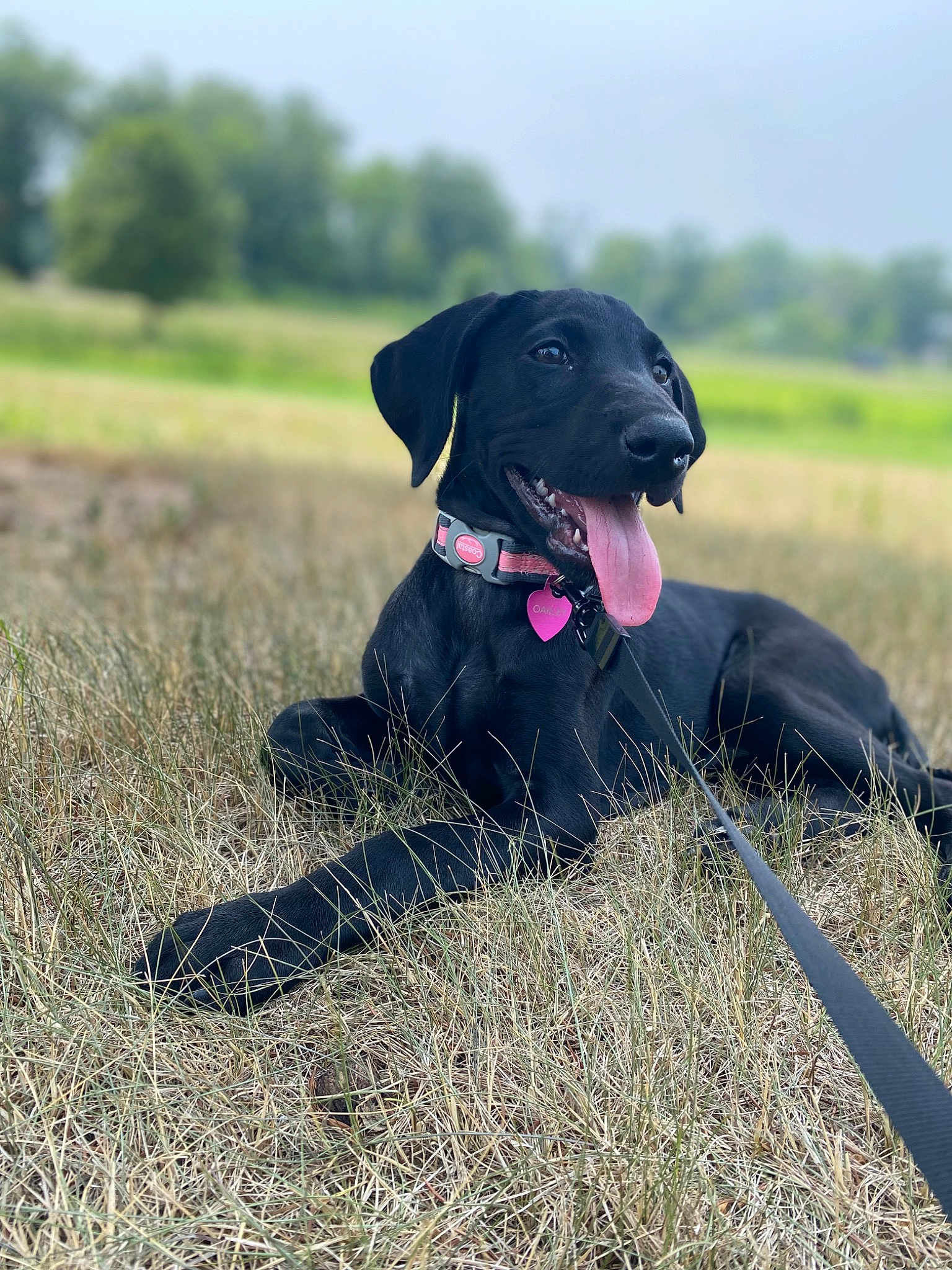 Oakley