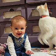 Abigaël participe au concours pour gagner de l'argent avec cette photo : baby, cat, toy, floor, furniture, person, smile, indoor, child, doll, clothing, legs, motion_blur, happy, home, sitting, playful, pet, room, carpet