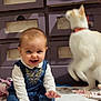 baby, cat, toy, floor, furniture, person, smile, indoor, child, doll, clothing, legs, motion_blur, happy, home, sitting, playful, pet, room, carpet