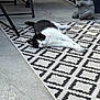 cat, black_and_white, outdoor, rug, patterned_rug, elephant_statue, patio, stone_statue, relaxed, lying_down, tile_floor, metal_chair, furniture, animal, pet, daylight, resting, decor, home, quiet