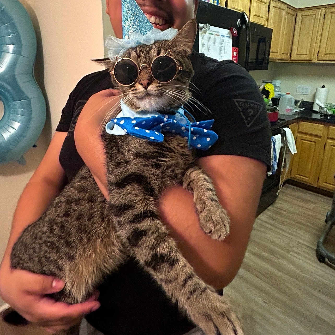 Toby is registered to the contest to win money with this photo: accessories, adult, animal, cat, clothing, face, female, formalwear, glasses, head, indoors, person, pet, photography, plant, portrait, pottedplant, t_shirt, tie, woman