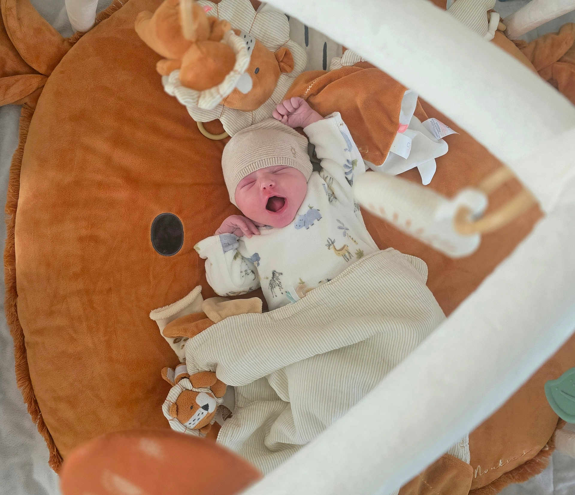 Ulysse a rejoint le concours — aidez-le/la à gagner de superbes lots ! baby, newborn, yawning, blanket, plush_toy, lion, baby_gym, soft_toy, sleepwear, hat, infant, cozy, play_mat, cute, child, indoors, resting, wrapped, peaceful, nursery