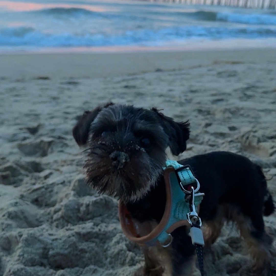 Cooper