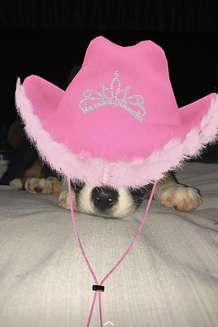 Kaya is registered to the contest to win money with this photo: art, cap, costume_hat, creative_arts, fashion_accessory, fedora, felidae, font, fur, hat, headgear, headpiece, jewellery, magenta, pink, stuffed_toy, sun_hat, textile, wool, woolen