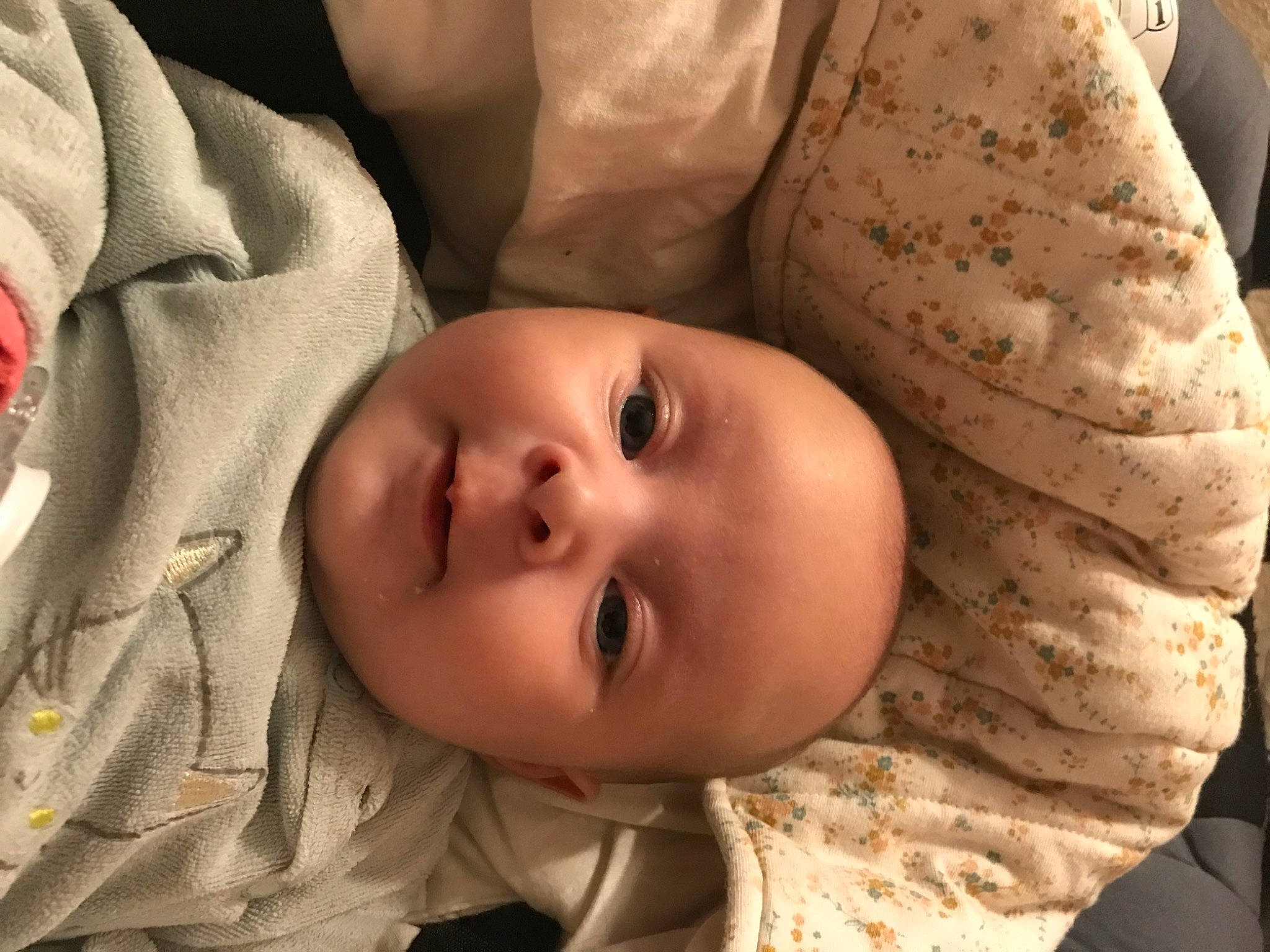 Ilona participe au concours pour gagner de l'argent avec cette photo : baby, baby_toddler_clothing, cheek, chin, comfort, eye, eyebrow, face, forehead, head, iris, lip, mammal, mouth, nose, organ, person, plant, skin, smile