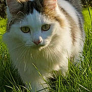 Hermione participe au concours pour gagner de l'argent avec cette photo :