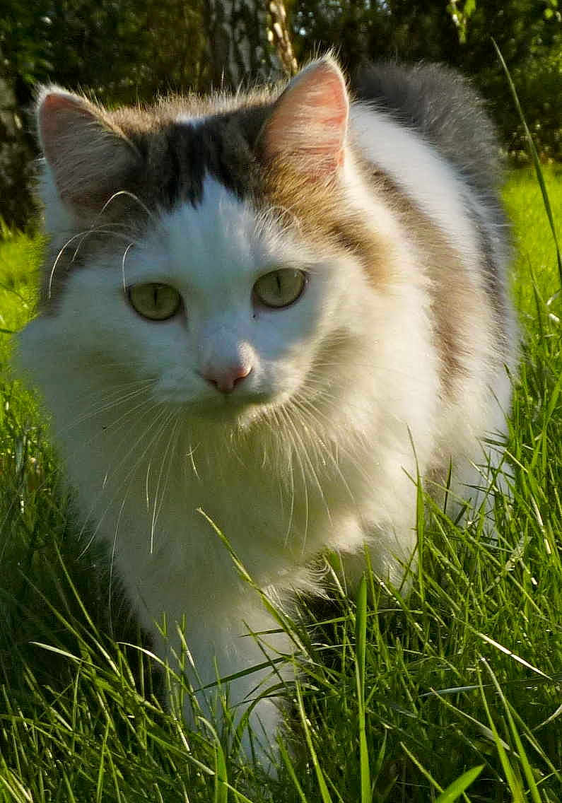 Hermione