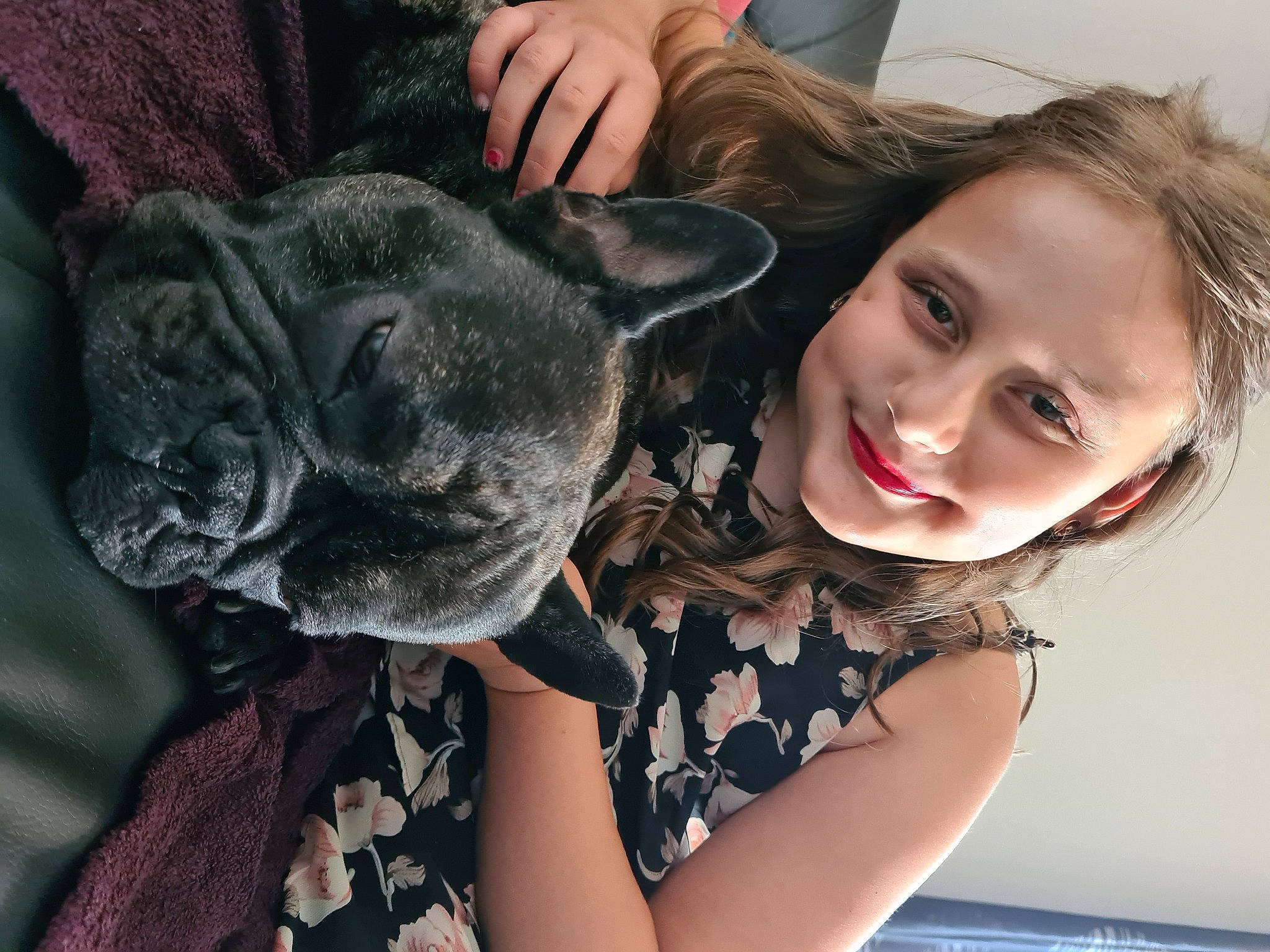 Mirko a rejoint le concours — aidez-le/la à gagner de superbes lots ! canidae, carnivore, comfort, companion_dog, dog, dog_breed, ear, eye, fawn, flash_photography, happy, iris, long_hair, mammal, neck, shoulder, skin, smile, snout, working_animal