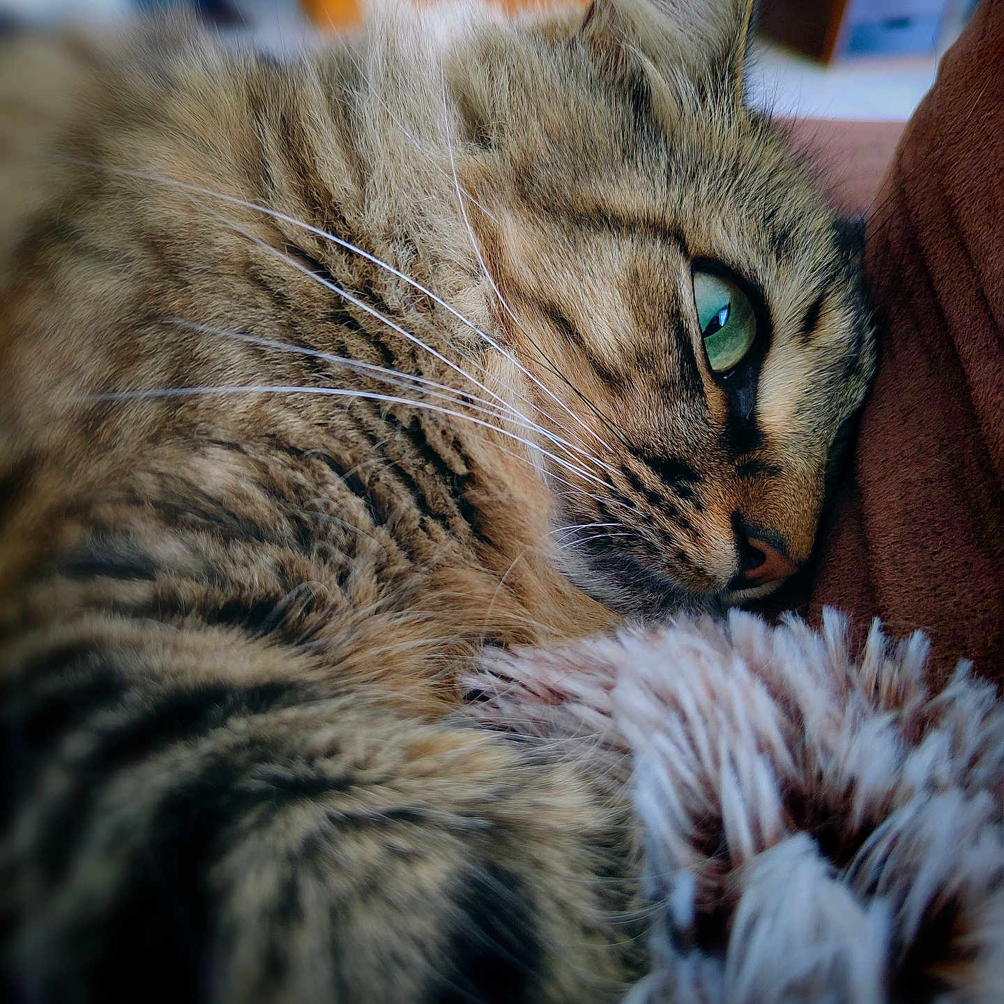 Yuka