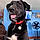 Jaxson
