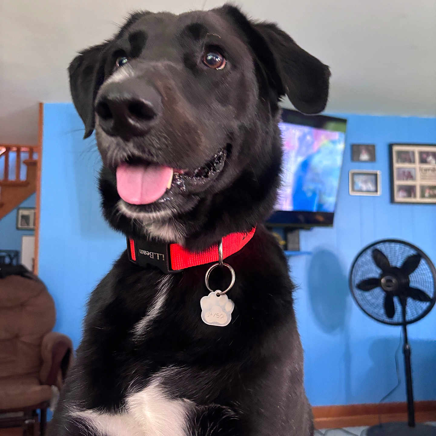 Jaxson