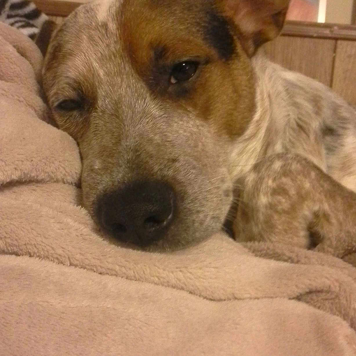 Archer is registered to the contest to win money with this photo: