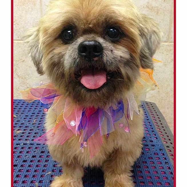 Hoppie joined the competition — help win amazing prizes!