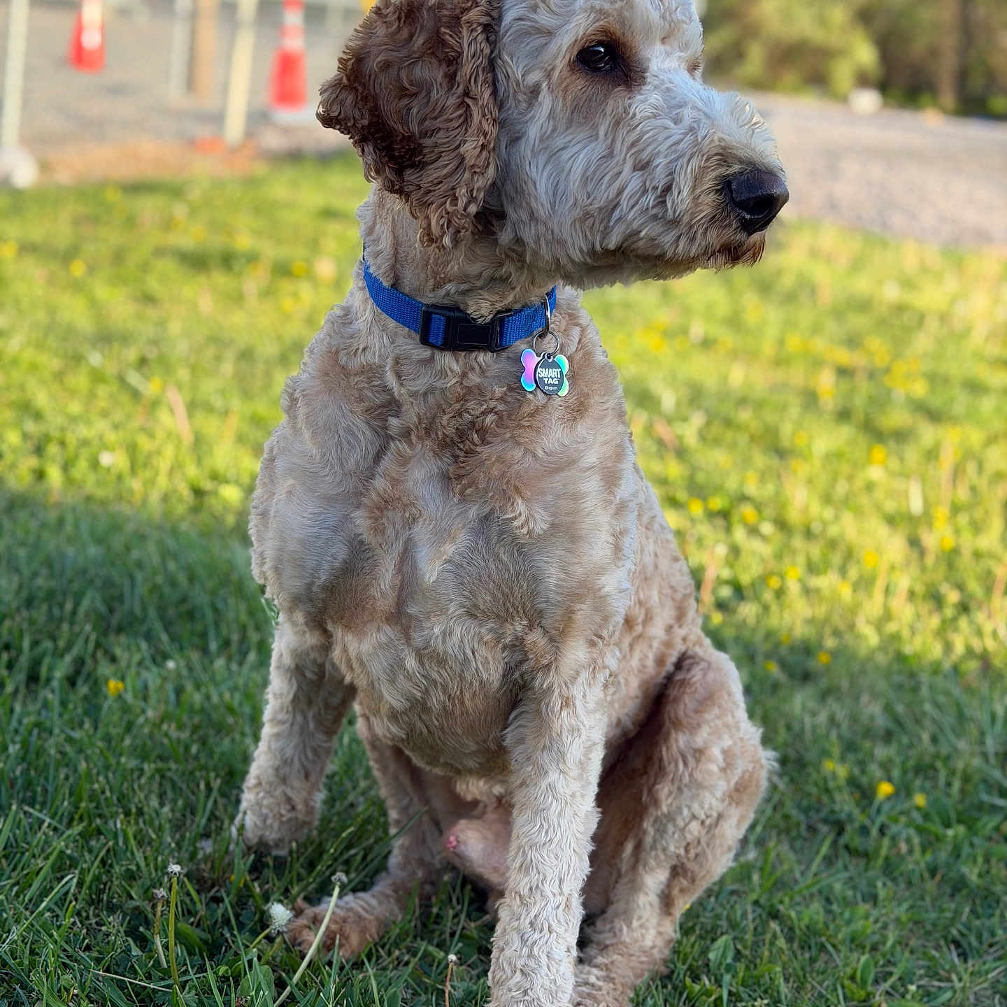 Oliver