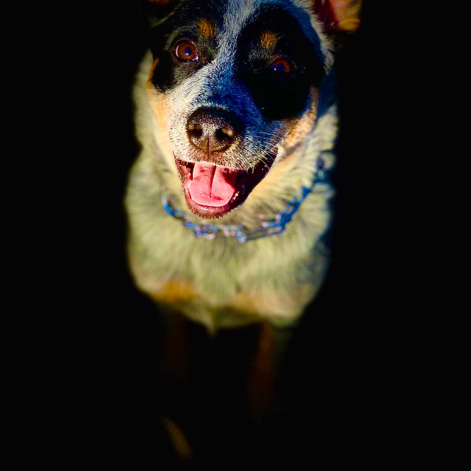 Patch