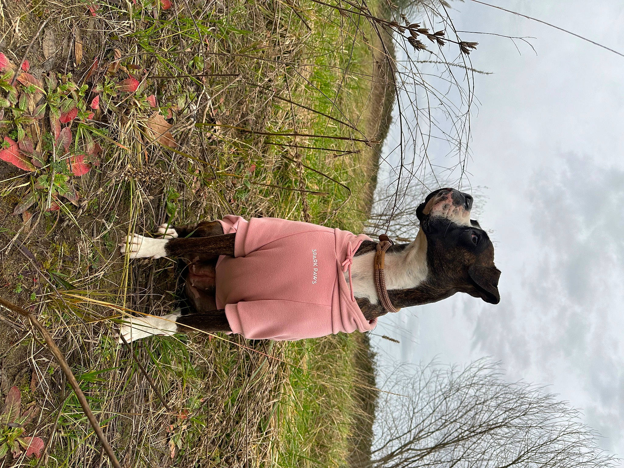 Shaya participe au concours pour gagner de l'argent avec cette photo : cloud, flower, fun, grass, hat, leisure, people_in_nature, plant, shrub, sky, sunglasses, tree, trunk, vegetation, waist