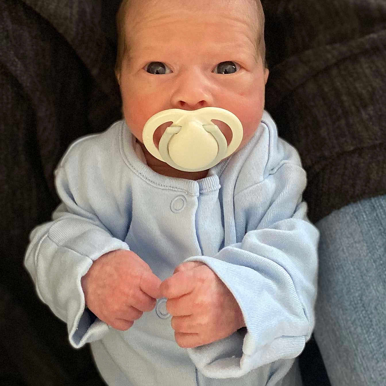 Freddie