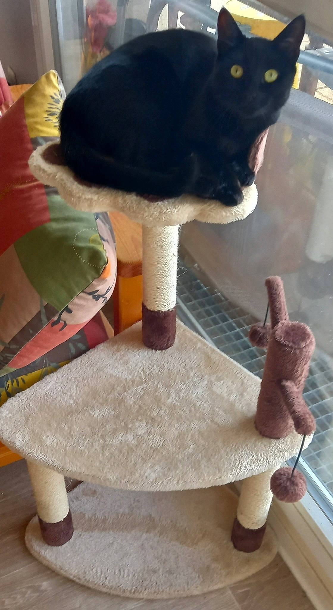 Patapon a rejoint le concours — aidez-le/la à gagner de superbes lots ! art, carmine, cat, fashion_accessory, felidae, fur, glove, headgear, human_leg, mammal, plush, stuffed_toy, tail, textile, toy, vertebrate, white, wood, wool, wrist