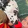 Lya a rejoint le concours — aidez-le/la à gagner de superbes lots ! animal, child, child_face, close_up, colorful_clothing, curious, dalmatian, dog, green_couch, hand, indoor, interaction, leather, pet, playful, red, relaxing, snout, spot, toy