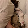 Aria participe au concours pour gagner de l'argent avec cette photo : animal, bed, blanket, brown, comfort, cozy, cute, fur, hand, indoor, kitten, person, pet, pillow, relaxation, resting, sleeping, snuggling, soft, white