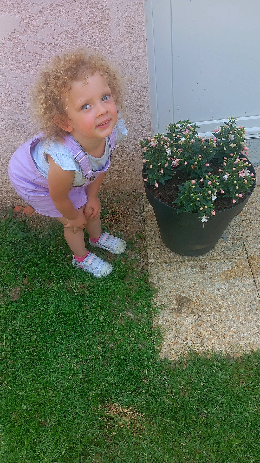 Lola a rejoint le concours — aidez-le/la à gagner de superbes lots ! annual_plant, baby_toddler_clothing, child, flooring, flower, flowerpot, garden, gardening, grass, groundcover, houseplant, joy, landscape, lawn, people_in_nature, person, petal, plant, shrub, sitting