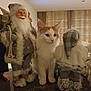 Tahiti a rejoint le concours — aidez-le/la à gagner de superbes lots ! cat, indoor, figurine, santa_claus, winter_clothing, plaid_hat, curtain, table, decor, white_cat, orange_cat, pet, animal, cute, furry, domestic_cat, holiday_decor, soft_lighting, still_life, cozy