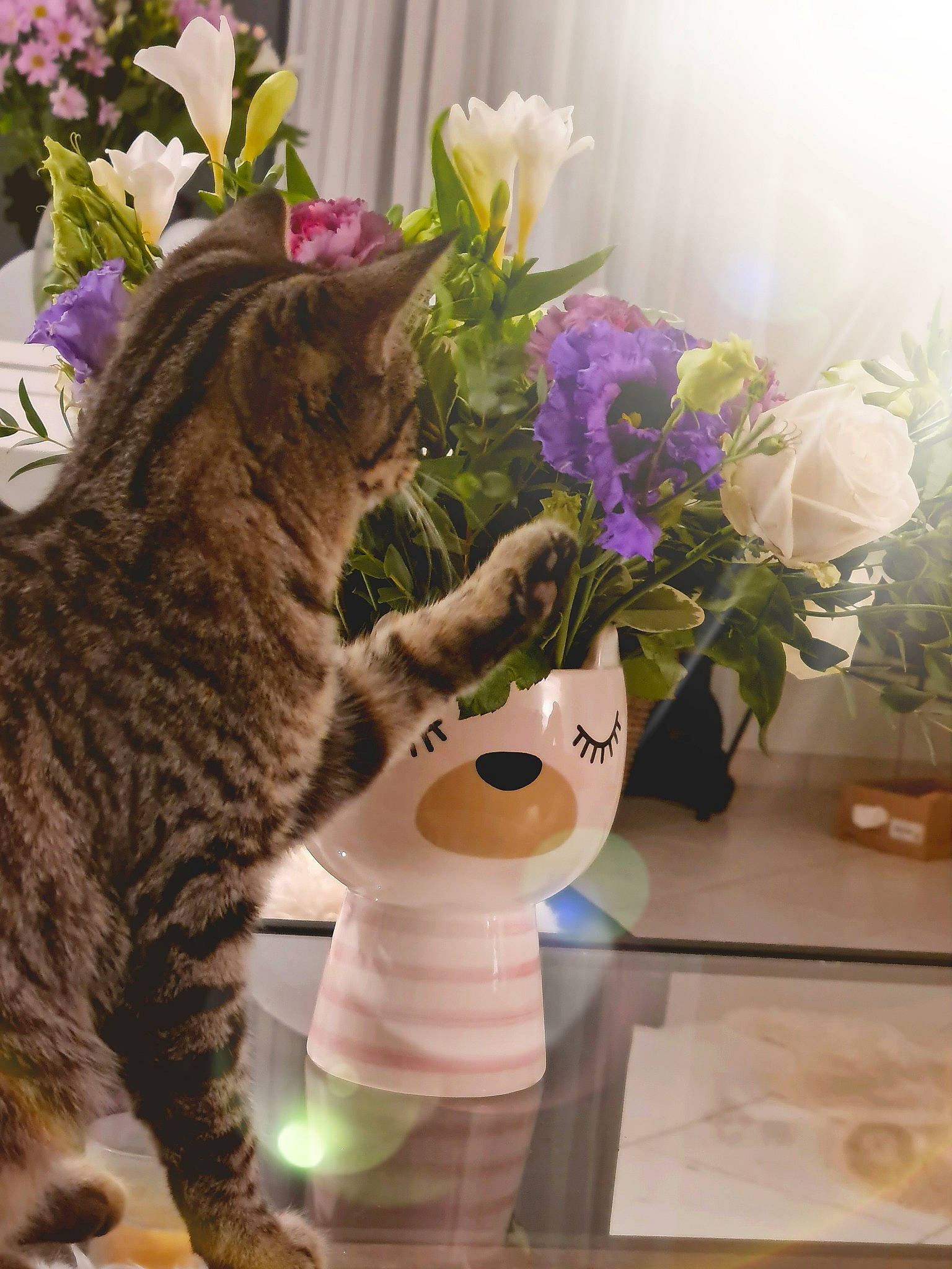 Nina a rejoint le concours — aidez-le/la à gagner de superbes lots ! art, artificial_flower, bouquet, carnivore, cat, fawn, felidae, flower, flower_arranging, flowerpot, petal, plant, purple, rose, small_to_medium_sized_cats, tail, textile, toy, vase, whiskers