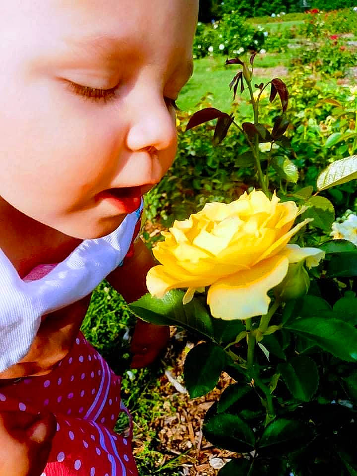 Aubrie is registered to the contest to win money with this photo: annual_plant, baby, baby_toddler_clothing, beauty, botany, face, flower, flowering_plant, grass, happy, hybrid_tea_rose, leaf, people_in_nature, person, petal, plant, rose, rose_family, rose_order, skin