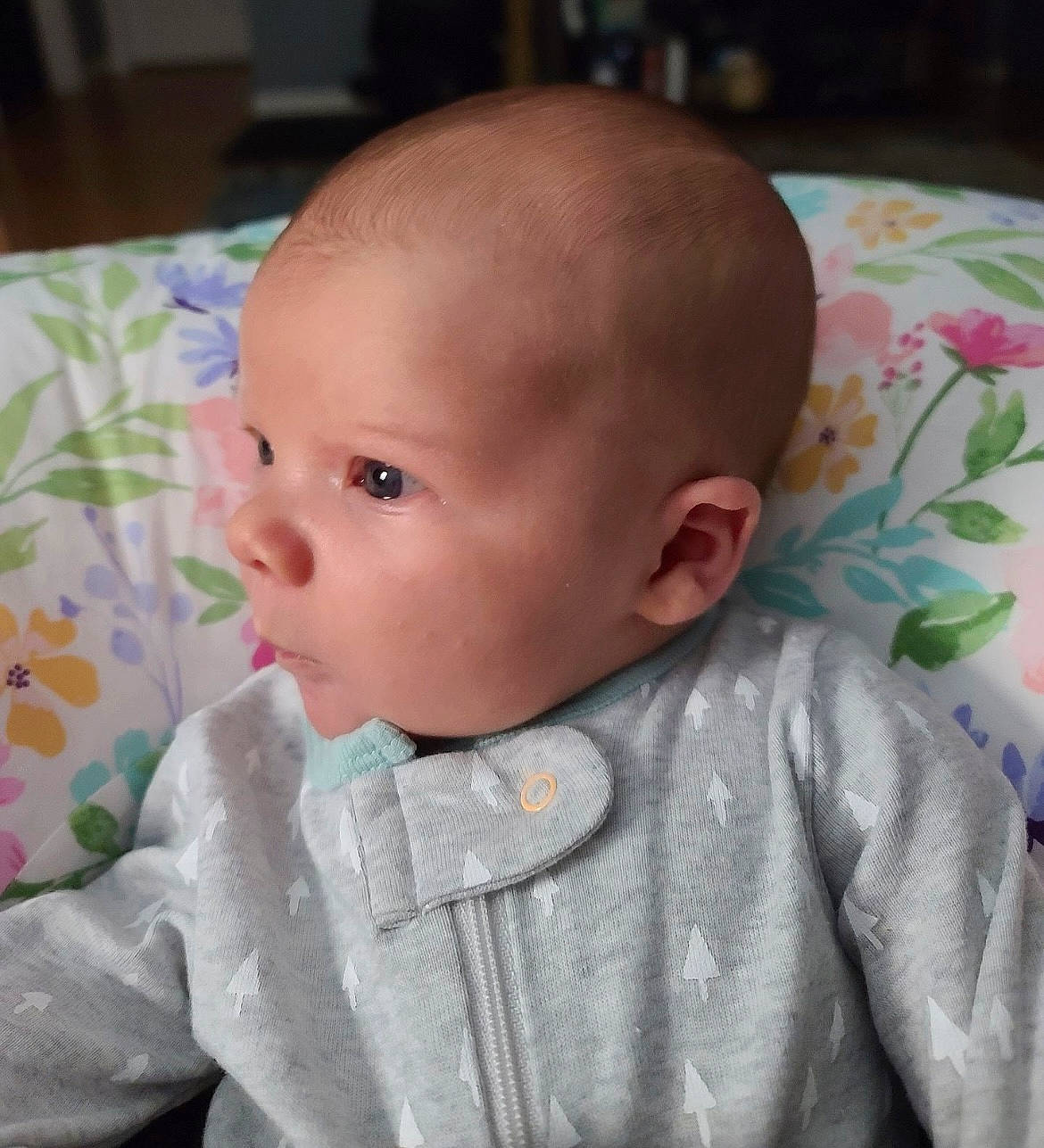 Lottie joined the competition — help win amazing prizes! baby, baby_toddler_clothing, cheek, child, collar, comfort, ear, face, grass, head, iris, linens, lip, nose, person, sitting, skin, sleeve, toddler