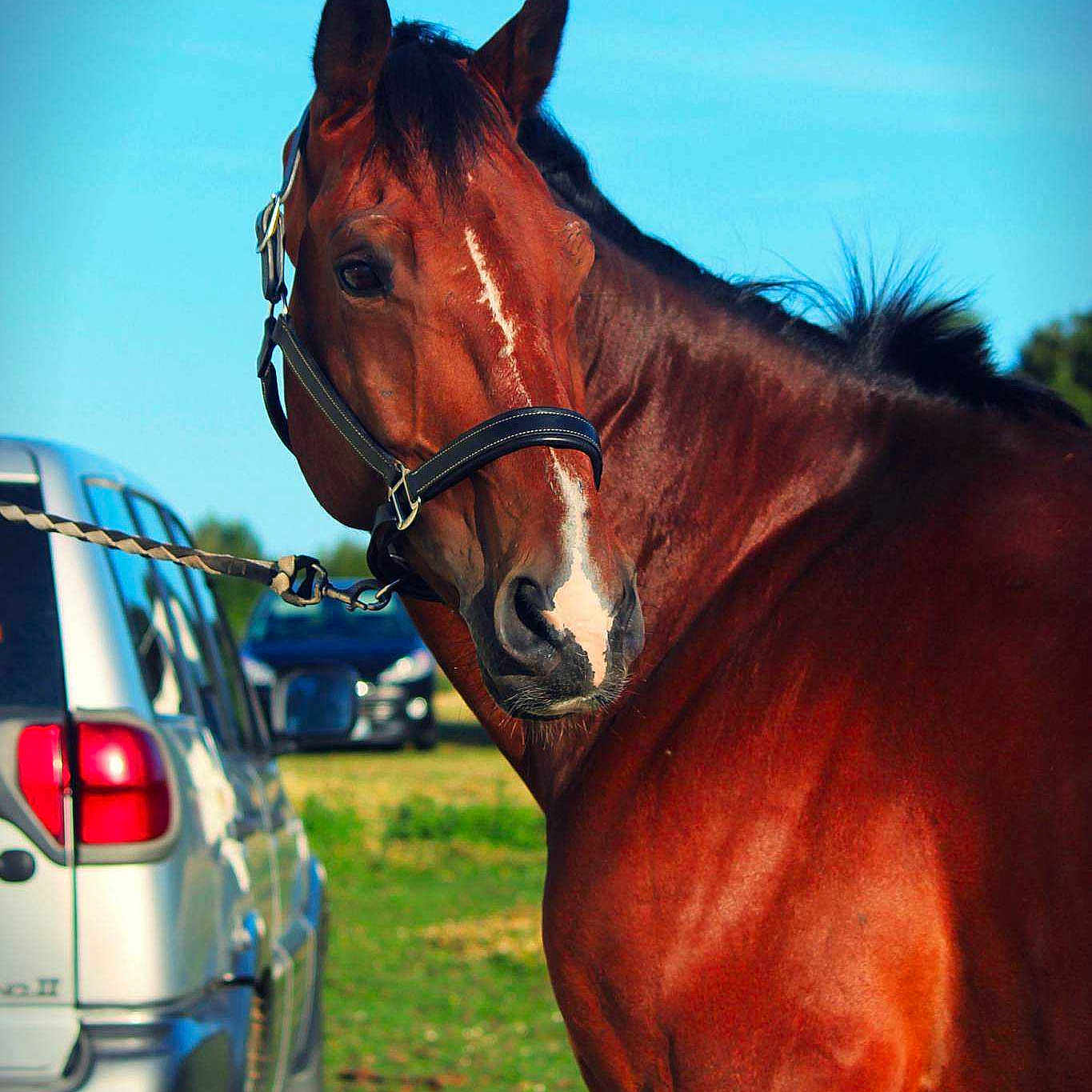 Ubrian a rejoint le concours — aidez-le/la à gagner de superbes lots !