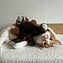 Uby a rejoint le concours — aidez-le/la à gagner de superbes lots ! cat, stuffed_animal, toy, orange_cat, white_cat, lying_down, indoor, curious, pet, cozy, texture, fabric, playful, cuddle, animal, fur, whiskers, head_tilt, relaxed, close_up