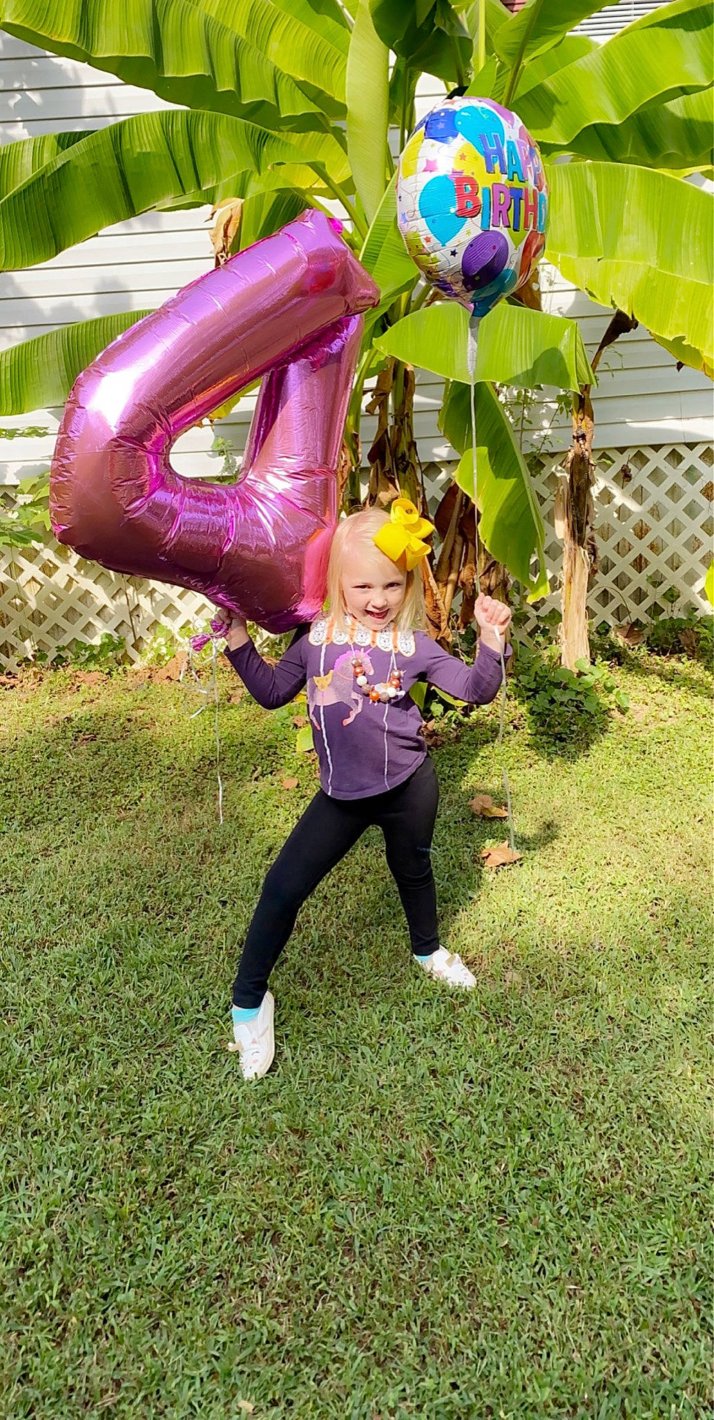 Remmi is registered to the contest to win money with this photo: balloon, fun, games, inflatable, joy, leisure, person, plant, play