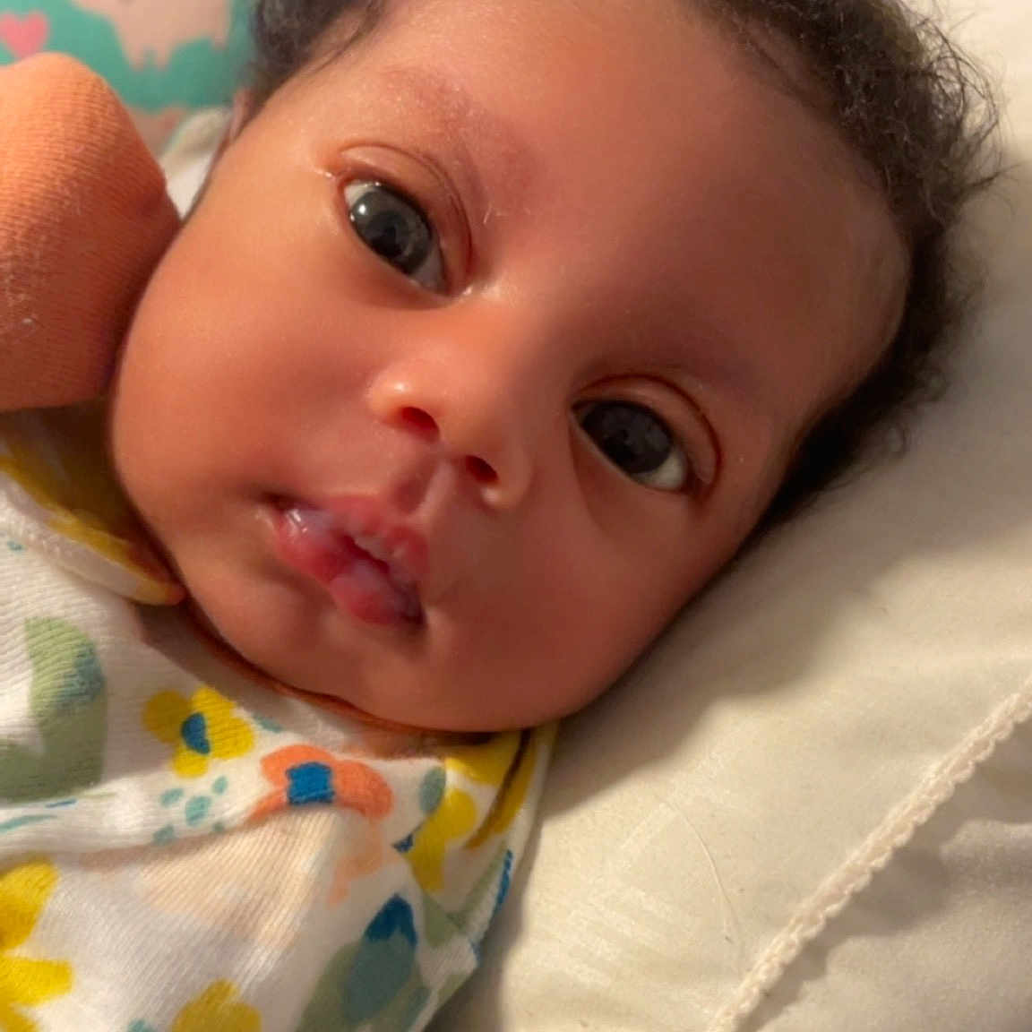 Kennedi