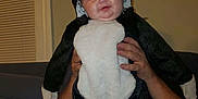 Arya joined the competition — help win amazing prizes! baby, black_and_white, blanket, child, costume, couch, cute, face, funny, hands, happy, holding, home, indoor, infant, person, plush, portrait, skunk_costume, smiling