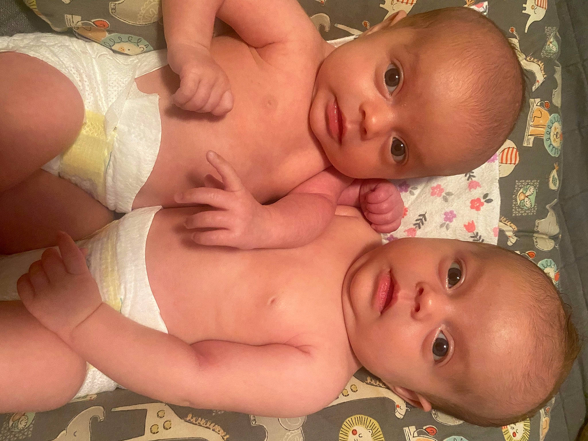 Freyja Karra is registered to the contest to win money with this photo: arm, baby, black, cheek, chest, ear, eye, eyebrow, face, head, human_body, iris, lip, mouth, muscle, neck, nose, organ, person, skin