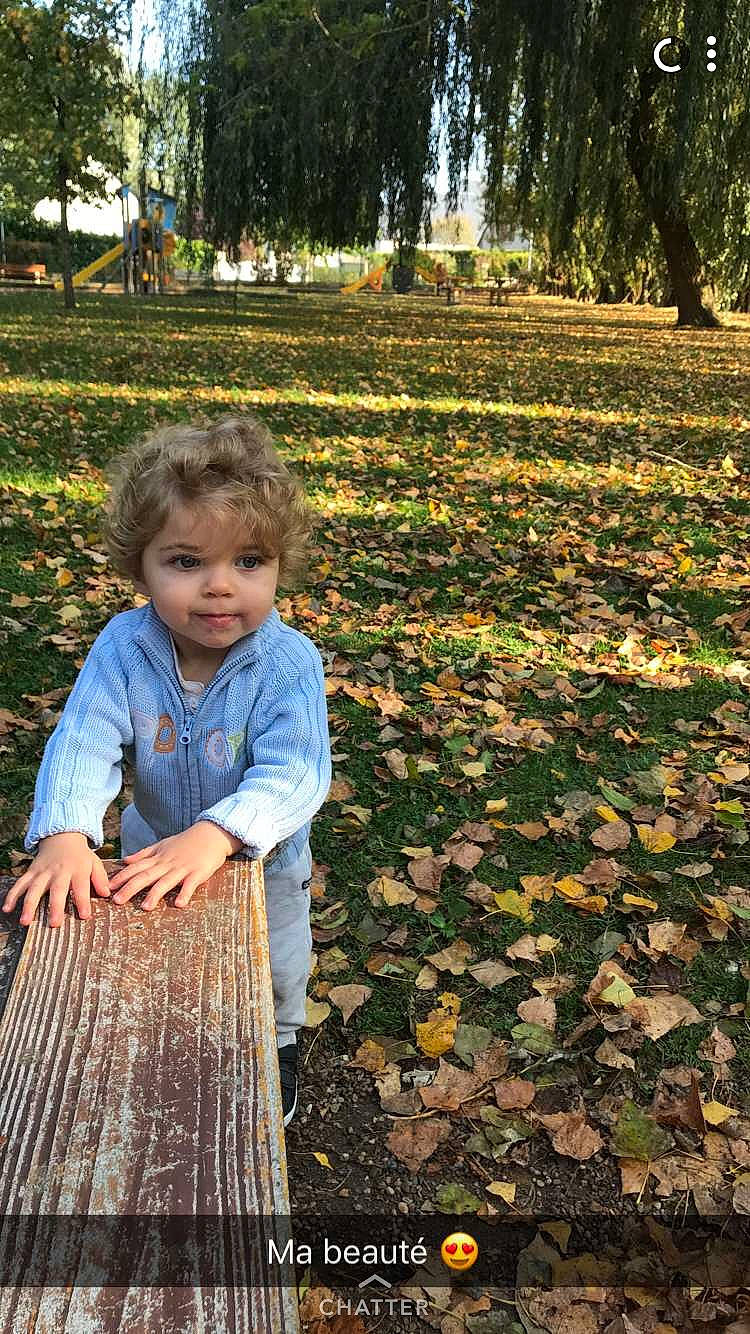 Layvin participe au concours pour gagner de l'argent avec cette photo : autumn, child, fun, garden, girl, grass, grass_family, leaf, person, plant, play, recreation, spring, toddler, tree