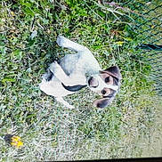 Daisy participe au concours pour gagner de l'argent avec cette photo :