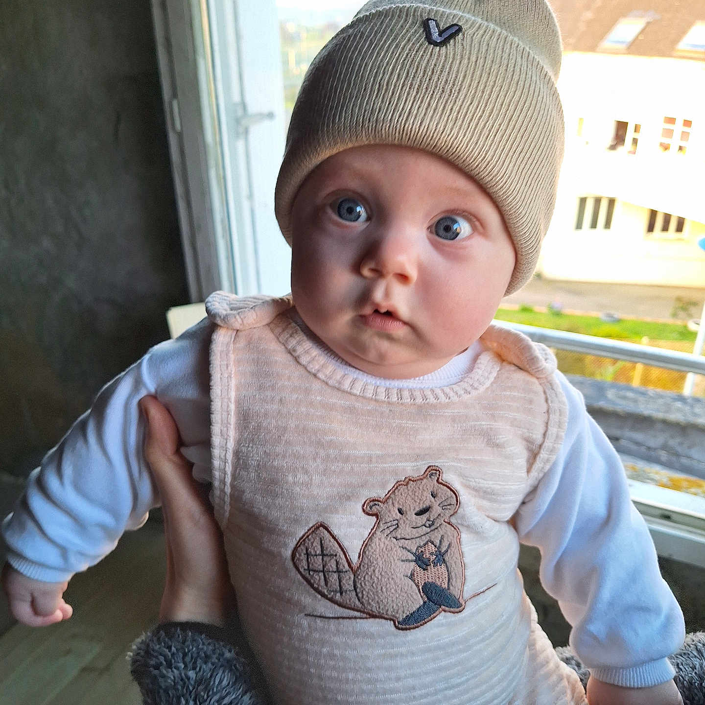 Vladian participe au concours pour gagner de l'argent avec cette photo : baby, beanie, child, clothing, cute, cute_outfit, expression, face, hand, holding, indoor, infant, looking, person, portrait, real, soft_light, warm_clothing, window, young