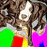 Bambam joined the competition — help win amazing prizes! puppy, dog, black_and_white, blanket, toy, rope_toy, colorful_background, text_overlay, indoor, pet, cute, playful, animal, young_dog, looking_at_camera, lying_down, paw, fur, canine, tiktok